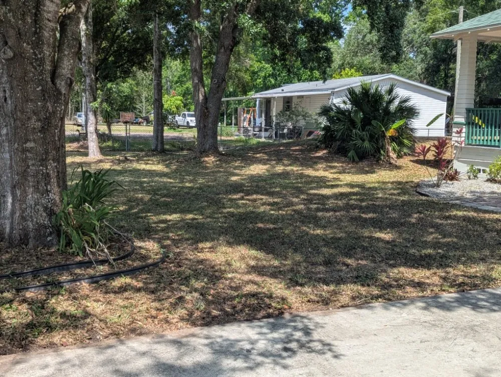 Top-rated yard maintenance for year-round maintenance in Haines City, FL by Brothers' Landscaping and More