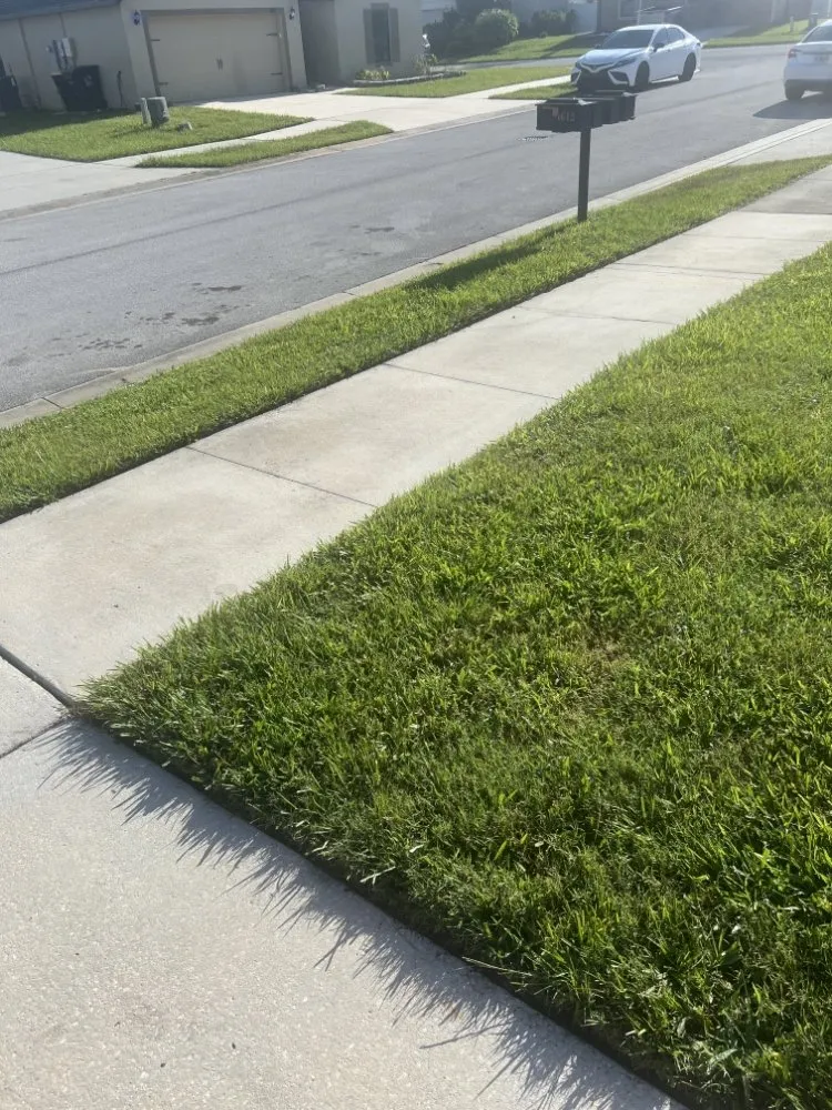 Custom landscape installation in Haines City, FL by Brothers' Landscaping and More