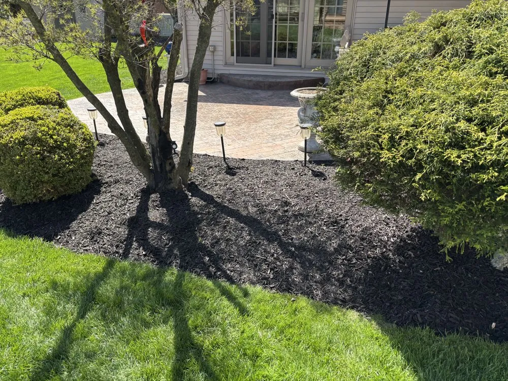 Expert yard maintenance experts serving Perrysburg, OH - Brother’s Landscaping and Property Maintenance