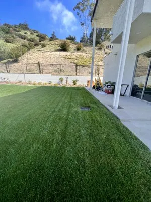 Brothers Landscaping And Tree Services Logo