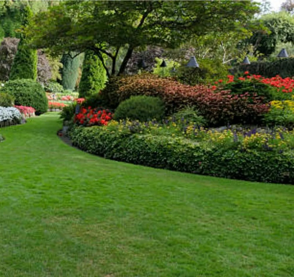 Affordable yard maintenance in Urban Honolulu, HI - Brother's landscaping and yard maintenance