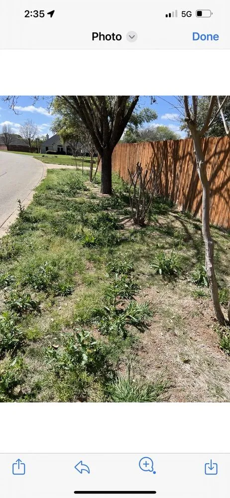 Professional lawn care service experts serving Belton, TX - Brothers Landscaping