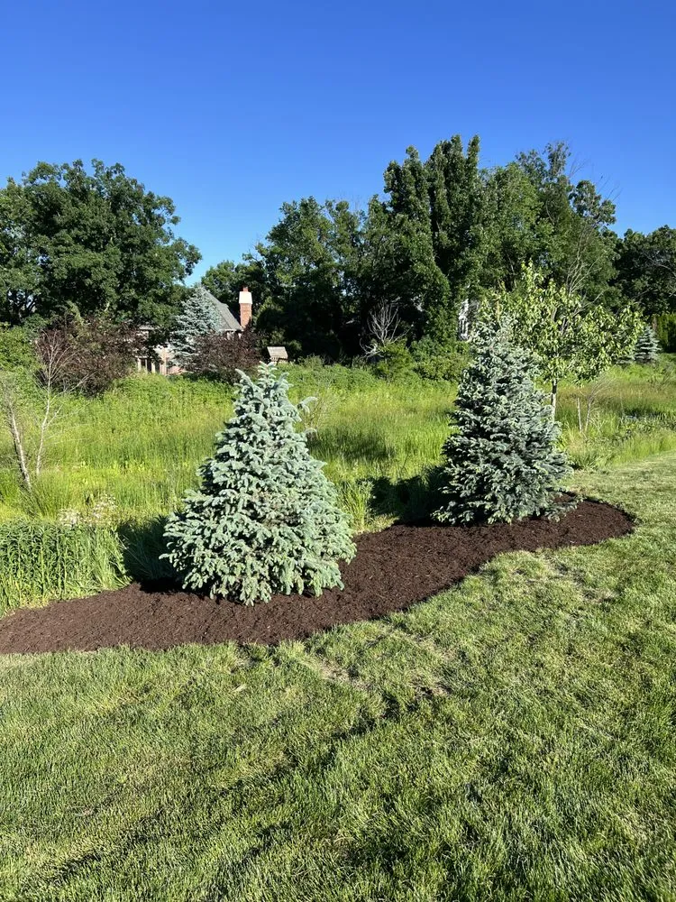 Custom lawn care service for beautiful yards across Burr Ridge, IL - Brothers Landscaping