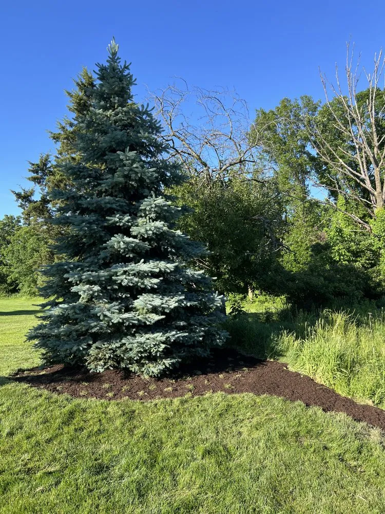 Trusted landscape installation with custom design across Burr Ridge, IL - Brothers Landscaping