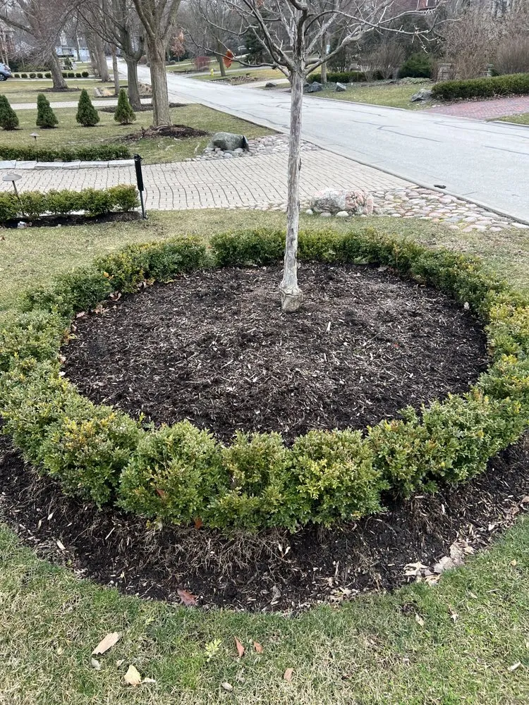 Trusted landscape design for residential properties across Burr Ridge, IL - Brothers Landscaping