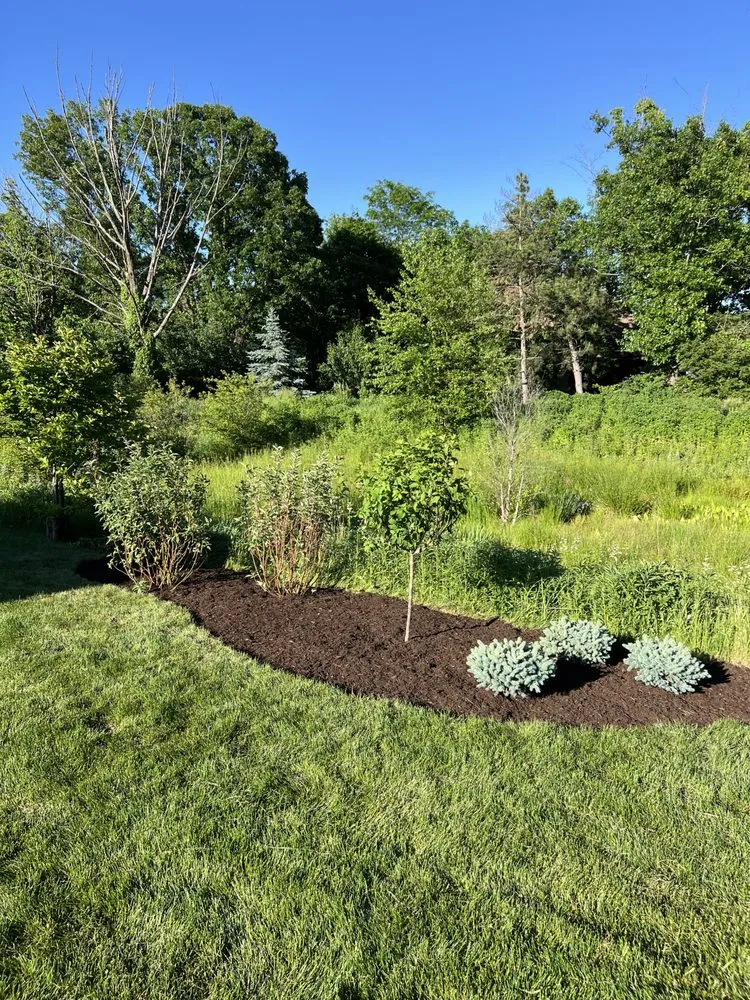 Affordable lawn care service in Burr Ridge, IL by Brothers Landscaping