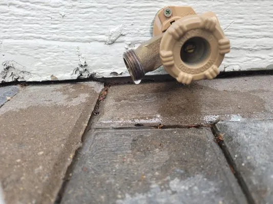 Brothers Landscaping Colorado Logo