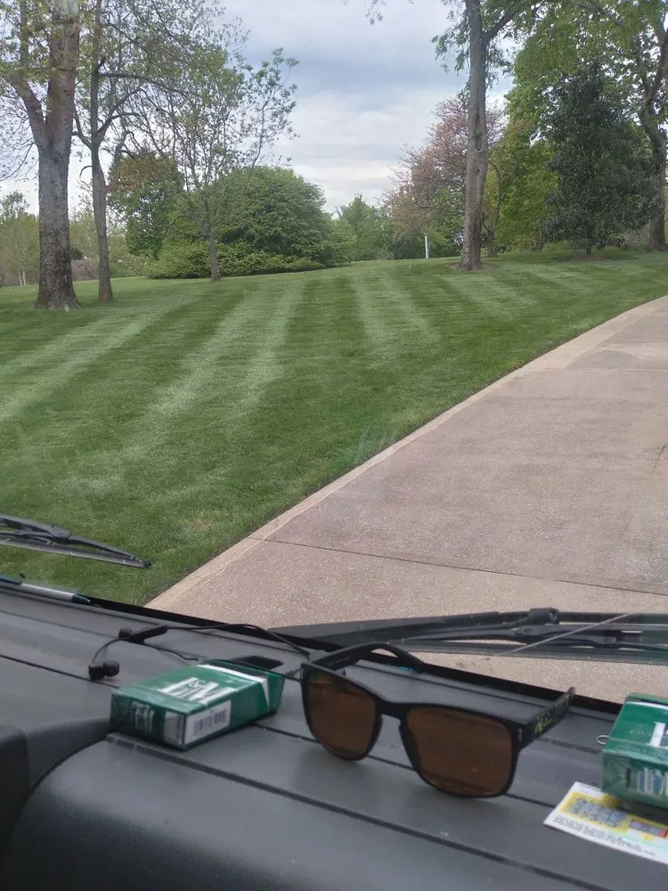 Expert yard cleanup service in CONCORD FARR, TN - Brothers landscaping