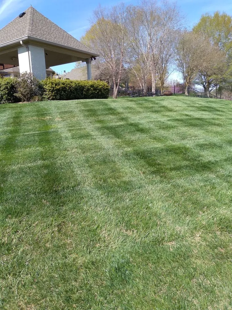 Local garden landscaping experts serving CONCORD FARR, TN - Brothers landscaping