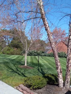 Brothers landscaping