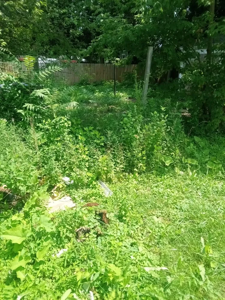 Top-rated residential landscaping experts serving Detroit, MI - Brothers Landscaping