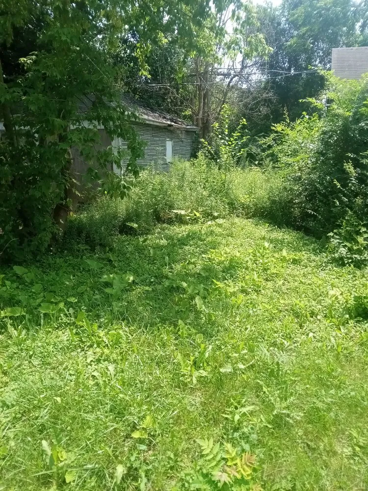 Trusted lawn mowing service in Detroit, MI - Brothers Landscaping