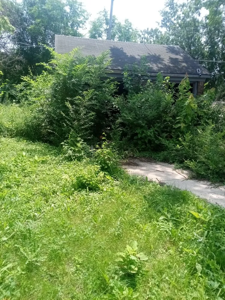 Reliable outdoor landscaping in Detroit, MI - Brothers Landscaping