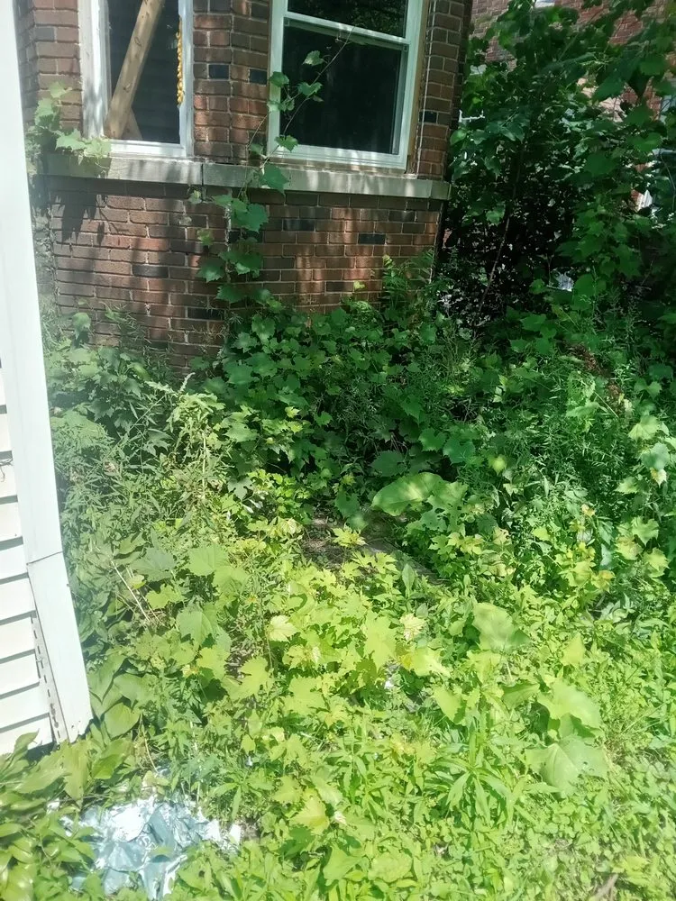 Trusted garden landscaping for year-round maintenance in Detroit, MI by Brothers Landscaping