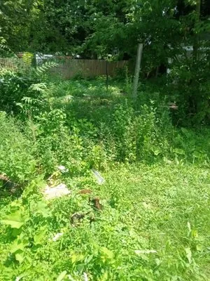 Brothers Landscaping Logo