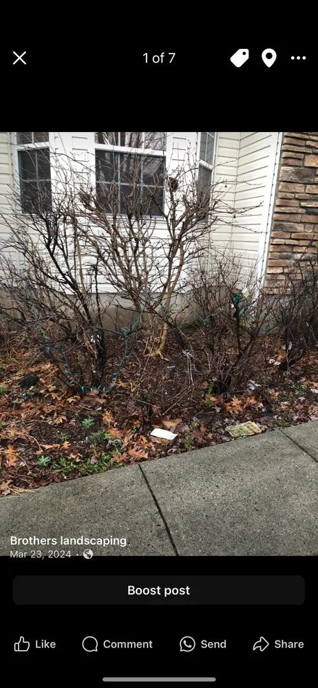 Local yard maintenance in Edison, NJ by Brothers landscaping