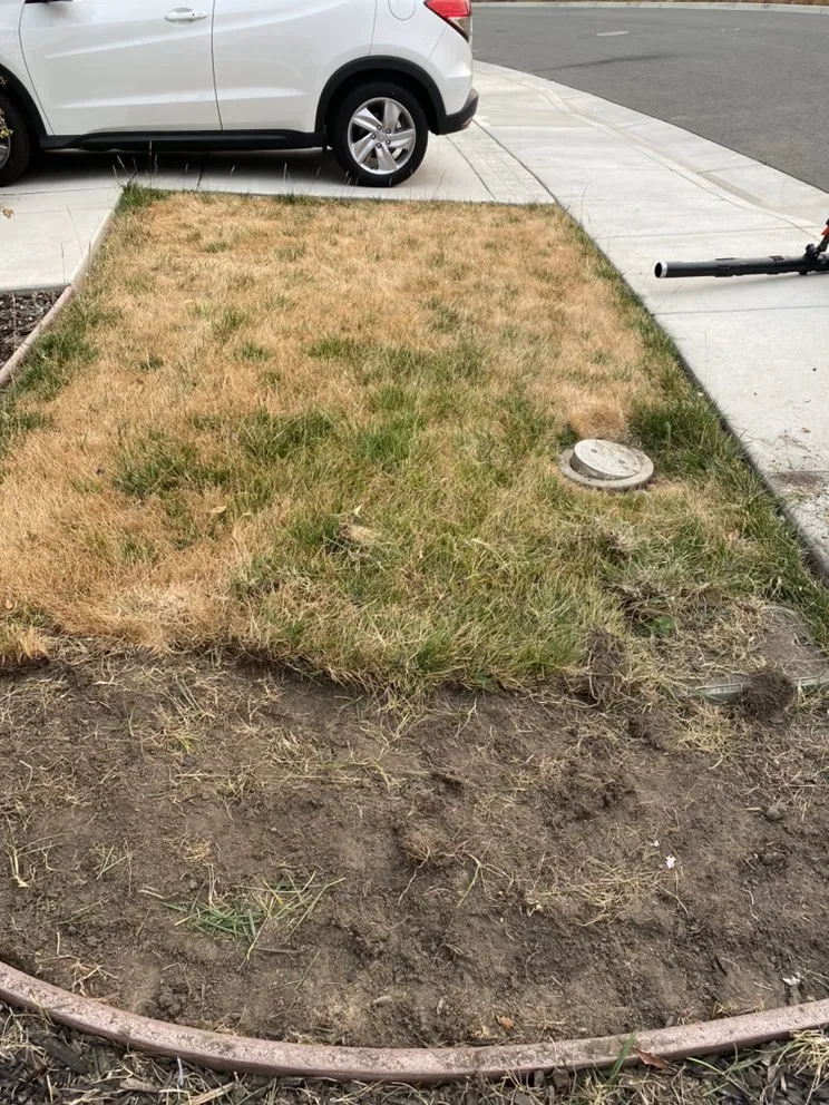 Top-rated yard maintenance in Fairfield, CA by Brothers landscaping