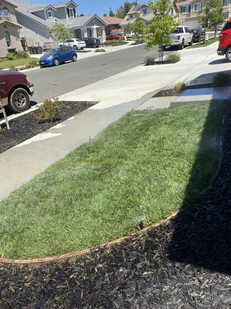 Affordable landscape design experts serving Fairfield, CA - Brothers landscaping