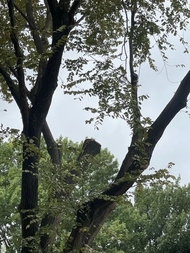 Affordable landscape design in Garland, TX - Brothers Landscaping