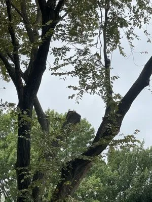 Brothers Landscaping