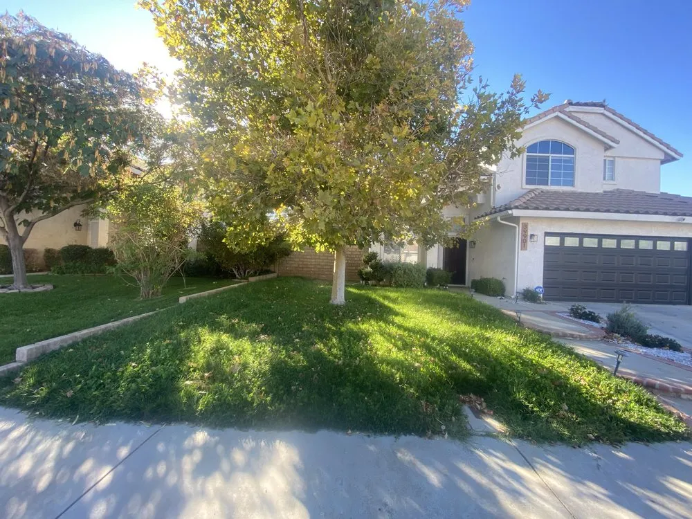 Reliable yard cleanup service near you in Hi Vista, CA by Brothers Landscaping