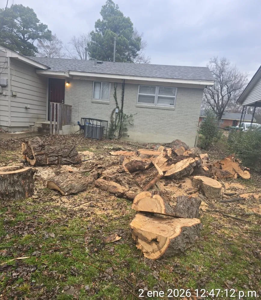 Professional landscape installation in Los Angeles, CA - Brothers Landscaping