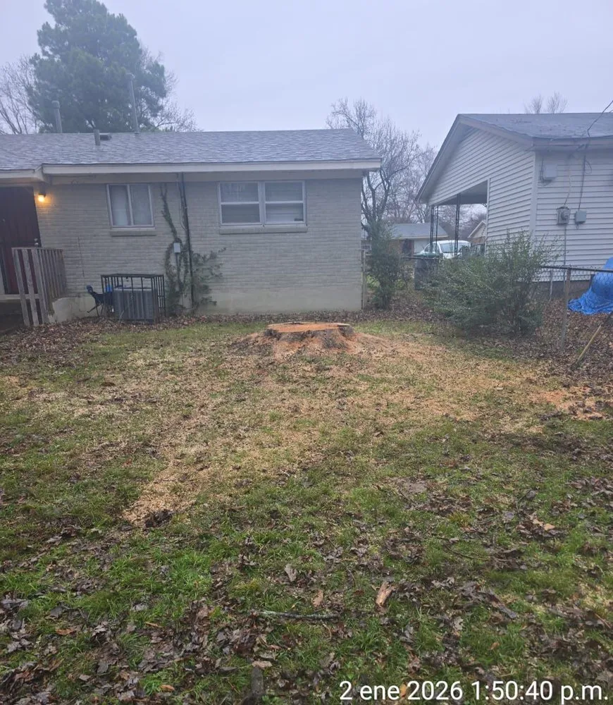 Top-rated lawn care service in Los Angeles, CA by Brothers Landscaping