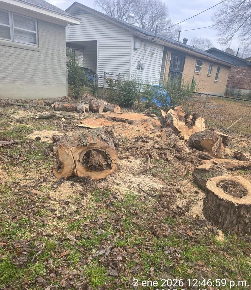 Professional outdoor landscaping in Los Angeles, CA - Brothers Landscaping