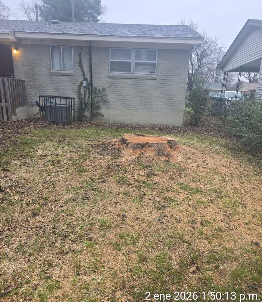 Affordable lawn mowing service with custom design in Los Angeles, CA by Brothers Landscaping