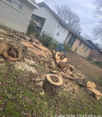 Brothers Landscaping Logo