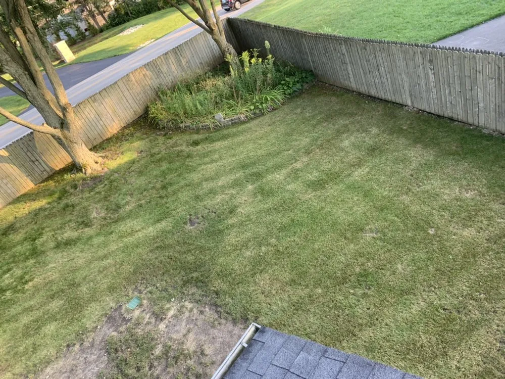 Custom yard maintenance for beautiful yards in Maywood, IL by Brother's Landscaping