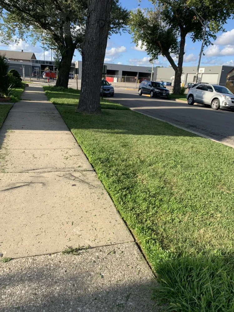 Trusted yard maintenance for beautiful yards across Maywood, IL - Brother's Landscaping