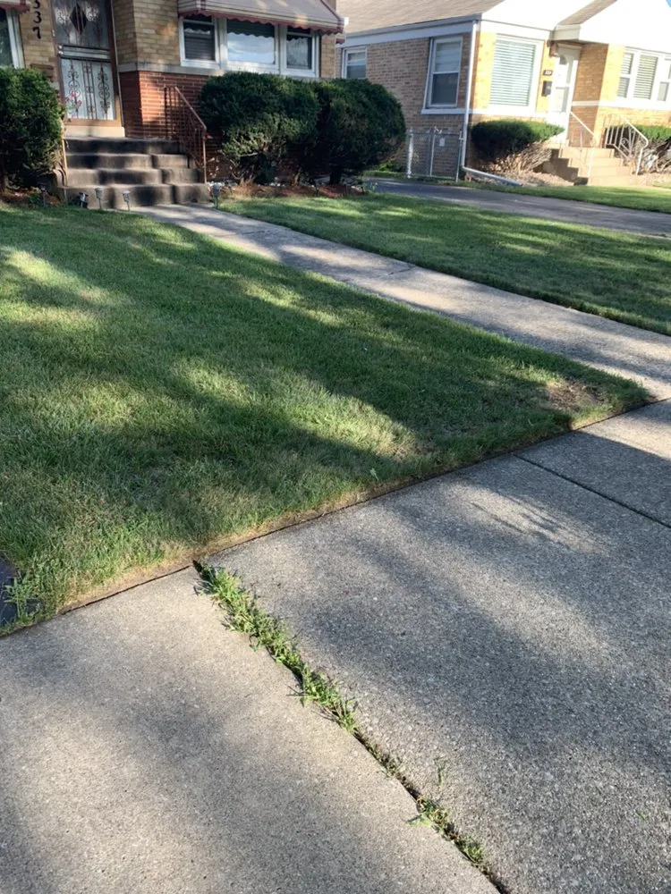 Professional lawn care service with custom design in Maywood, IL by Brother's Landscaping