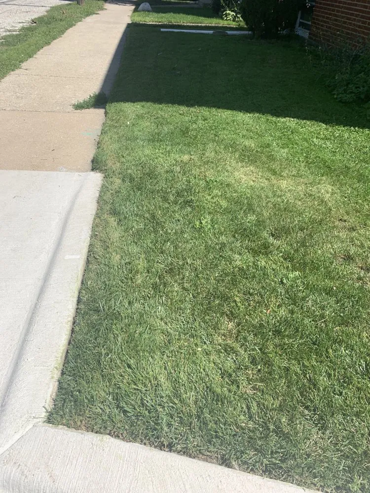 Affordable outdoor landscaping in Maywood, IL - Brother's Landscaping