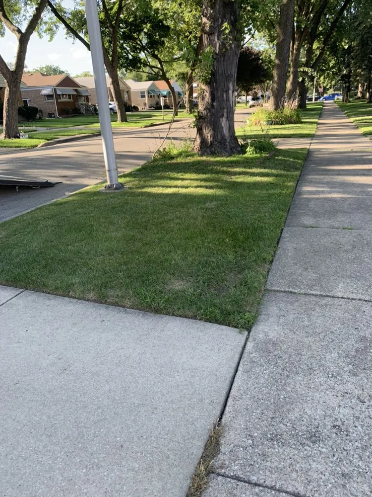 Top-rated lawn mowing service experts serving Maywood, IL - Brother's Landscaping