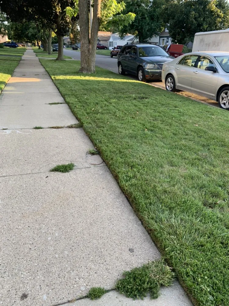 Local landscape design in Maywood, IL - Brother's Landscaping