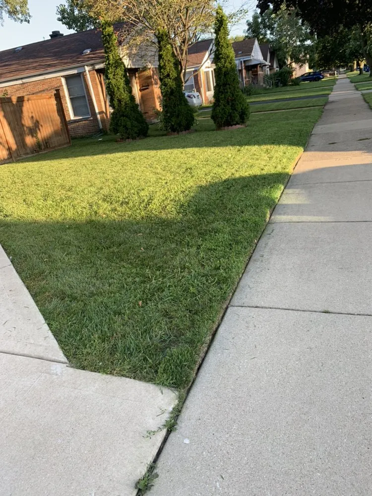 Trusted yard cleanup service in Maywood, IL by Brother's Landscaping