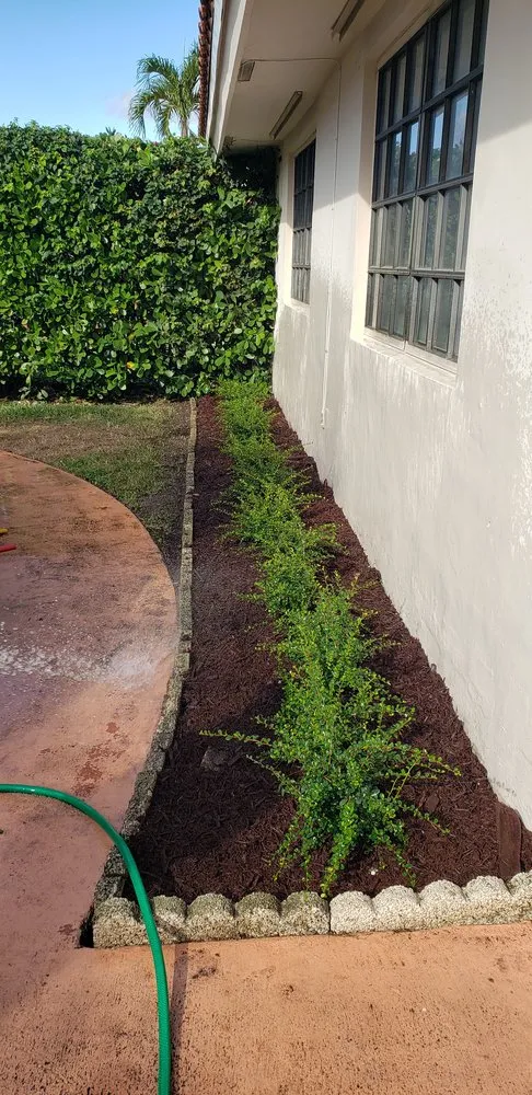 Professional outdoor landscaping in MIAMI, FL by Brothers Landscaping