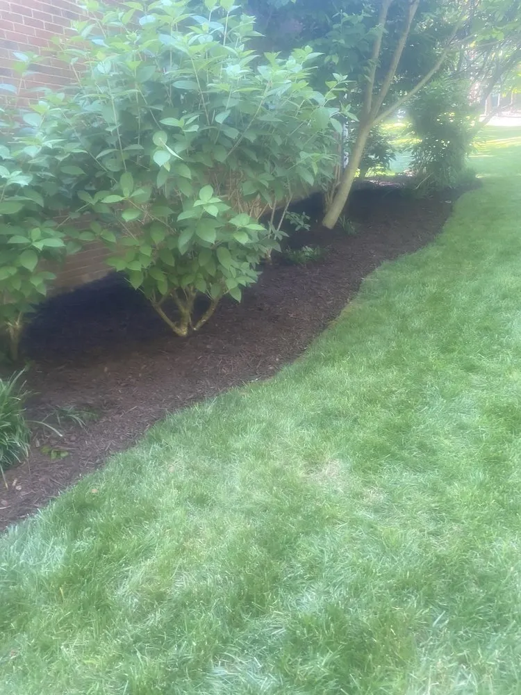 Custom yard maintenance experts serving Mooresville, NC - Brothers Landscaping