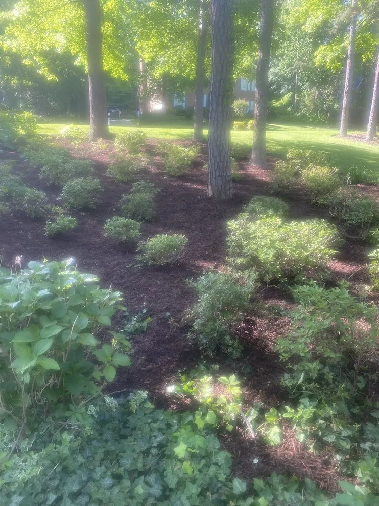 Affordable lawn mowing service in Mooresville, NC by Brothers Landscaping