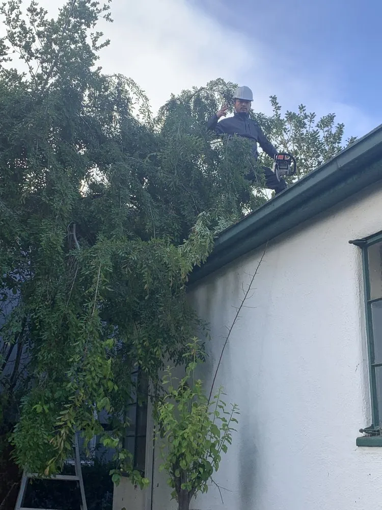 Custom yard maintenance for residential properties across Oakland, CA - Brothers Landscaping