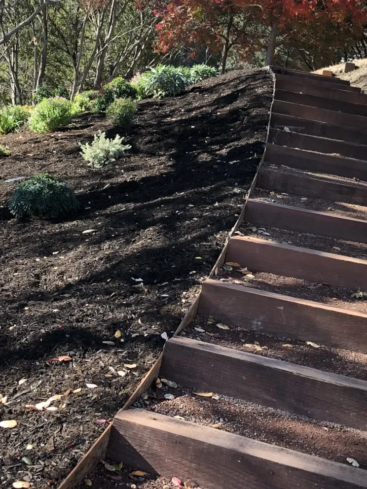 Reliable residential landscaping in Oakland, CA - Brothers Landscaping