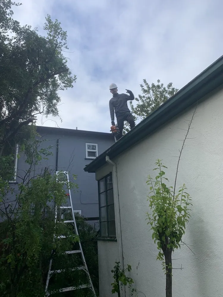 Top-rated yard cleanup service for outdoor upgrades in Oakland, CA by Brothers Landscaping