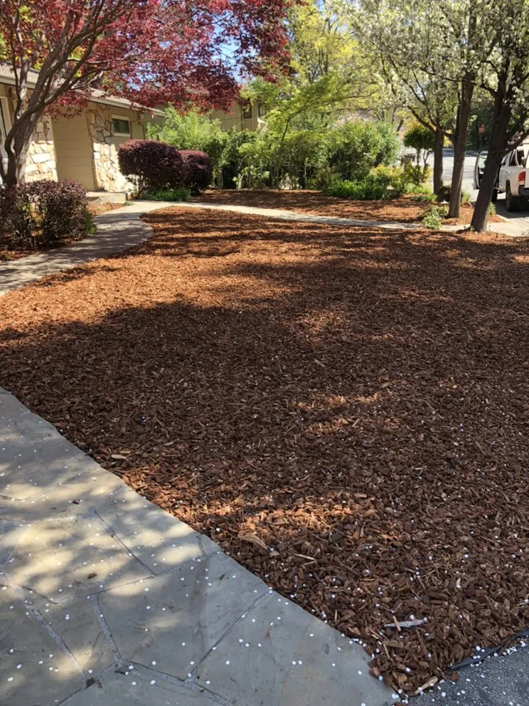 Affordable lawn mowing service for residential properties in Oakland, CA by Brothers Landscaping