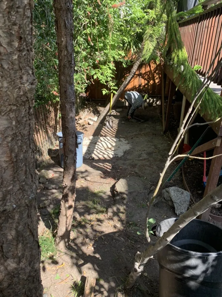 Expert yard cleanup service experts serving Oakland, CA - Brothers Landscaping