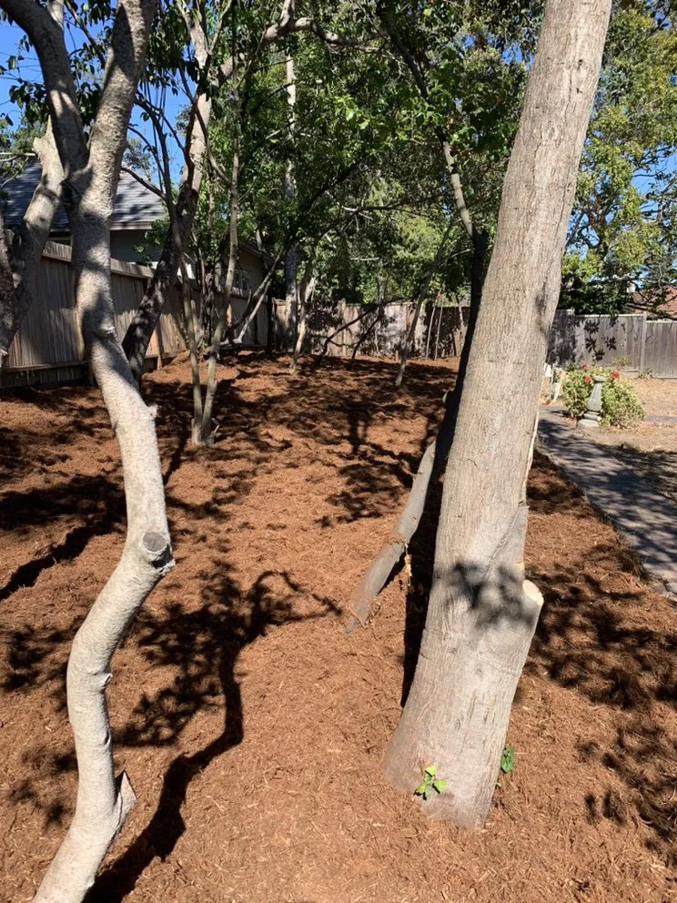 Local lawn mowing service experts serving Oakland, CA - Brothers Landscaping