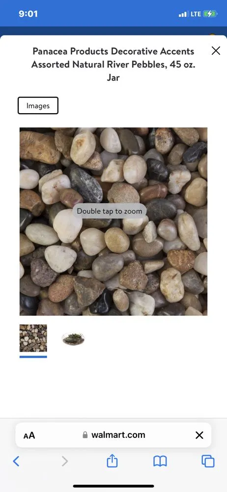 Reliable lawn care service experts serving San Antonio, TX - Brothers Landscaping