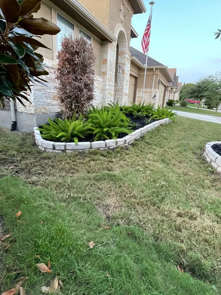 Trusted yard cleanup service in San Antonio, TX - Brothers Landscaping