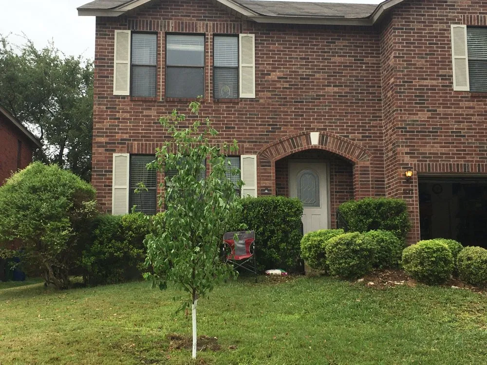 Reliable yard cleanup service for outdoor upgrades in San Antonio, TX by Brothers Landscaping