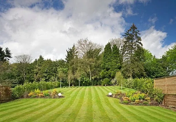 Trusted yard cleanup service experts serving Cranberry Township, PA - Brothers Landscaping Service